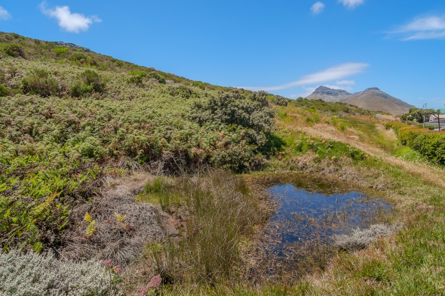 0 Bedroom Property for Sale in San Michel Western Cape